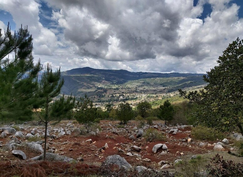 A mountainous landscape with rocky terrain and scattered trees. 3