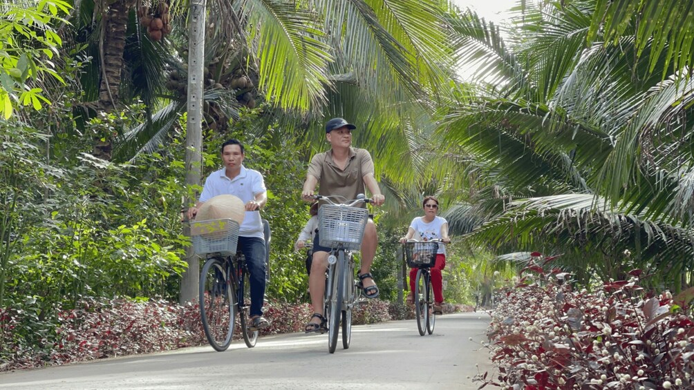 Three people riding bicycles on a road surrounded by lush greenery and palm trees. 4