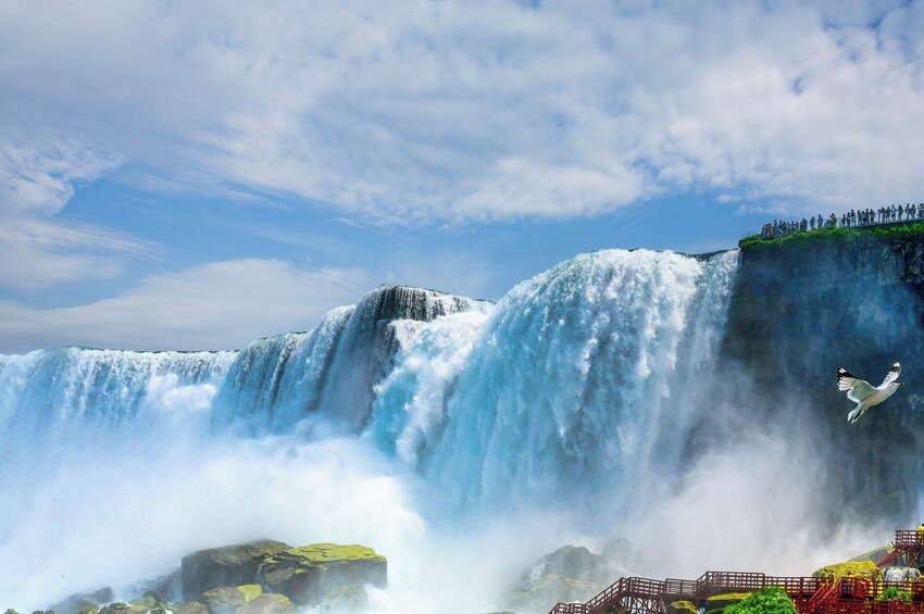 Niagara Falls 1 Day Tour with Optional Maid of Mist Boat Ride from NYC 4