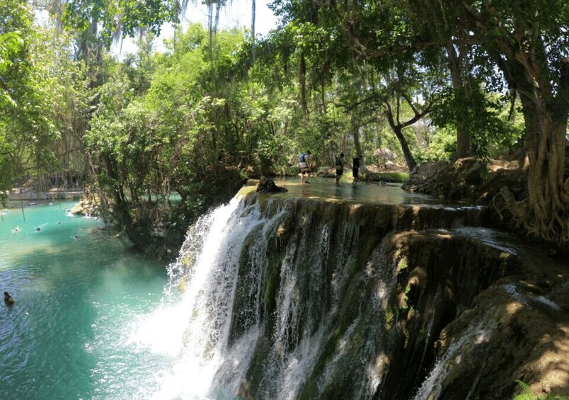 A waterfall cascading into a clear pool surrounded by lush greenery. 3