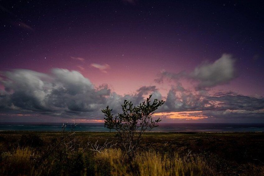 A night sky with stars, a tree, and a sunset over a flat landscape. 5