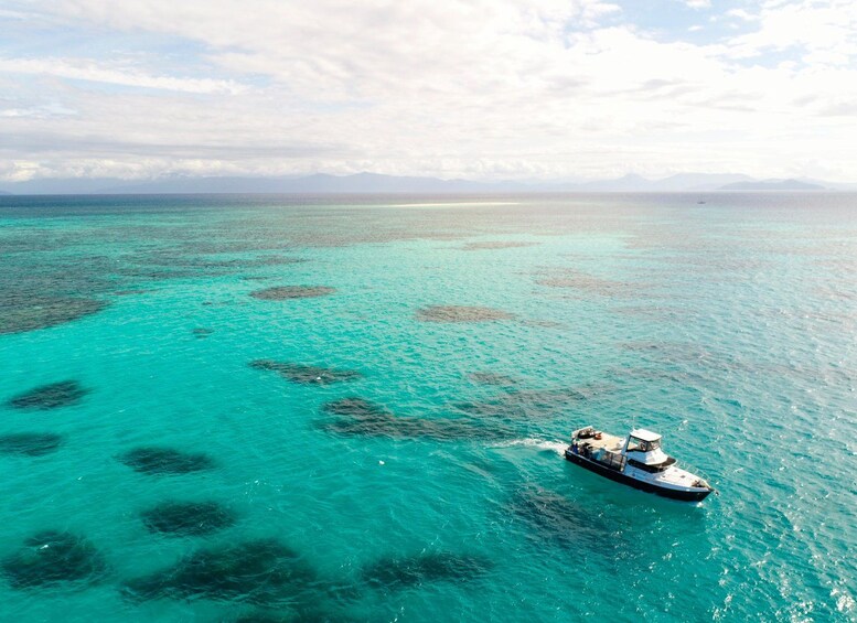 Picture 6 for Activity Cairns: Great Barrier Reef Fishing Charter with Lunch 3