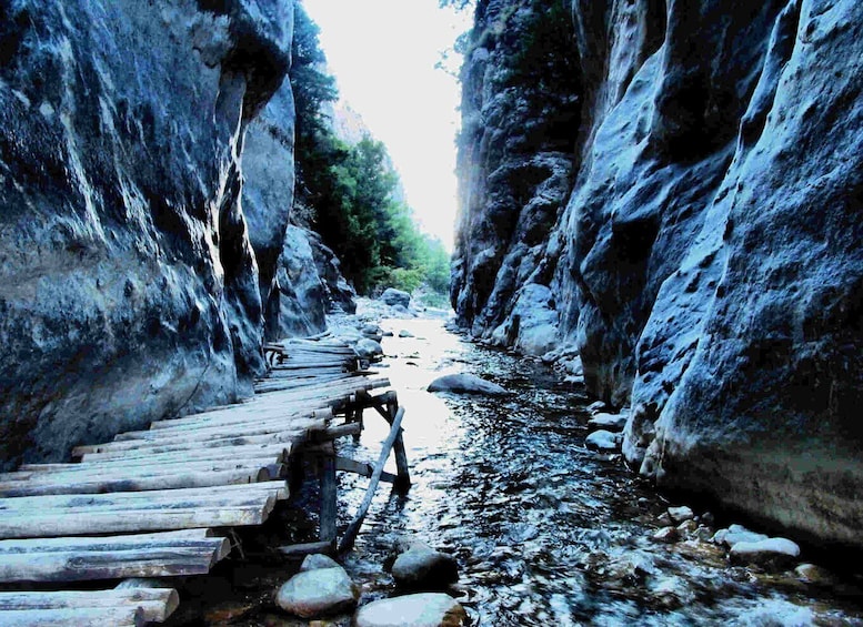 Picture 3 for Activity From Rethymno Area: Samaria Gorge Hiking with a Guide 2