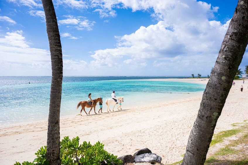 Mauritius: Horseback Riding on the Beach 4