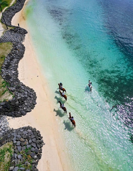 Picture 2 for Activity Mauritius: Horseback Riding on the Beach 3