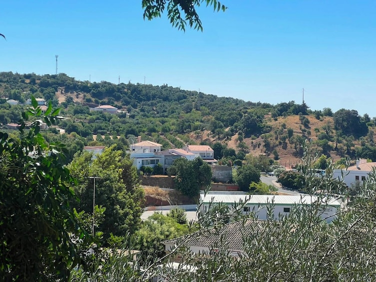 From Albufeira: Jeep Safari & Benagil Cave Boat Tour 2