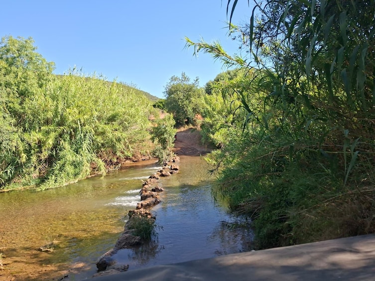From Albufeira: Jeep Safari & Benagil Cave Boat Tour 3
