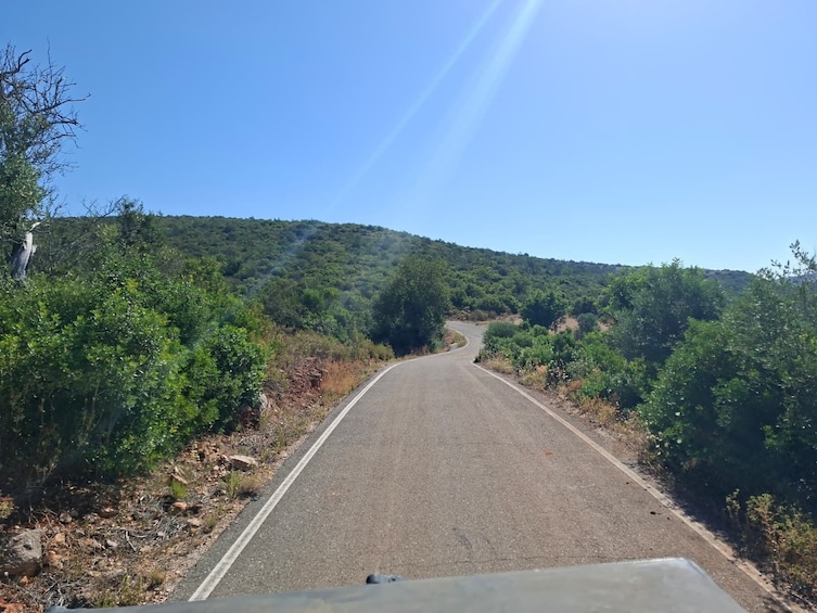From Albufeira: Jeep Safari & Benagil Cave Boat Tour 5