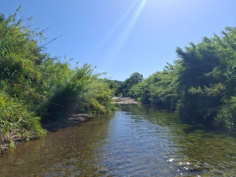 From Albufeira: Jeep Safari & Benagil Cave Boat Tour 4
