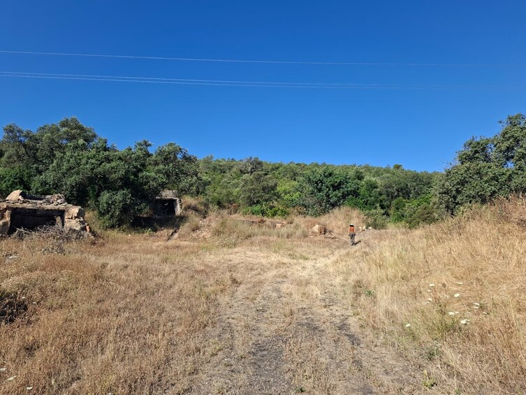 From Albufeira: Jeep Safari & Benagil Cave Boat Tour 2
