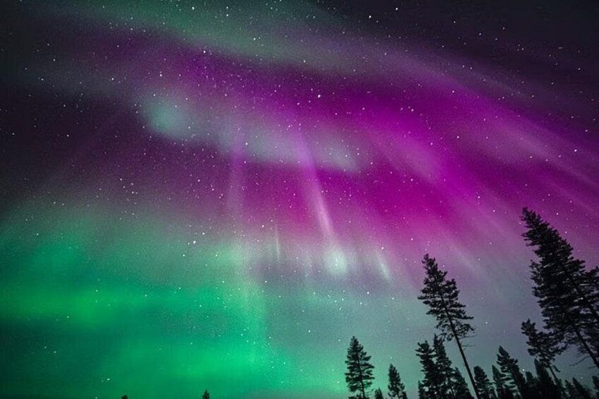 Rovaniemi: 100% Money-Back Guarantee Aurora Tour + Free Photos 2