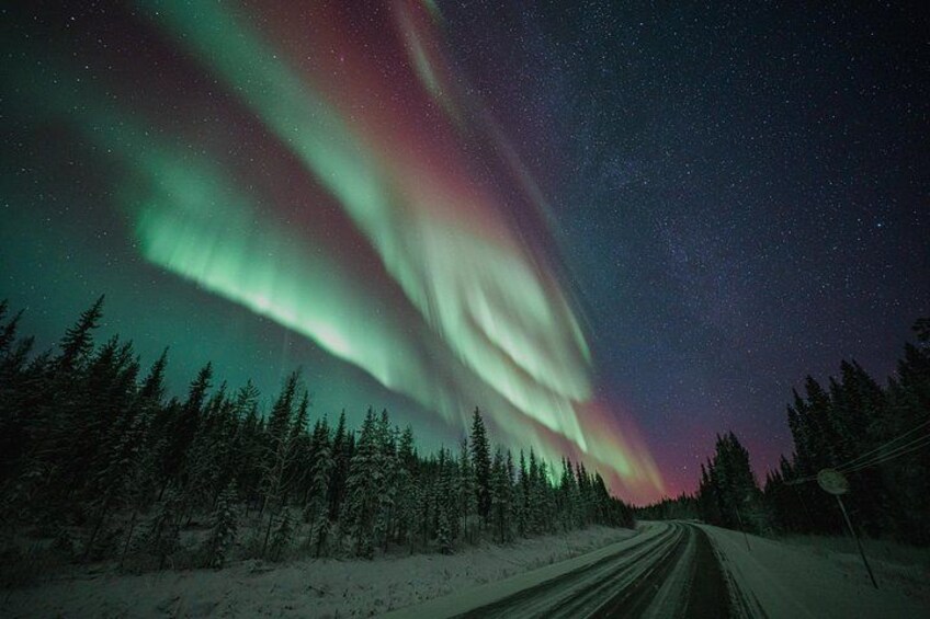 A snow-covered road with trees, a starry night sky, and the Northern Lights. 1
