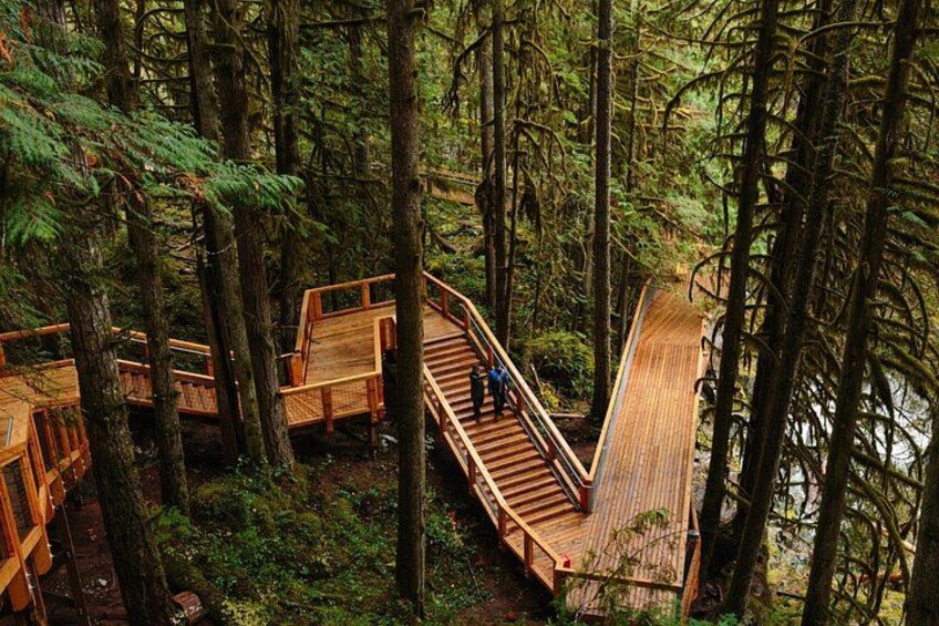 BC's Newest Eco Attraction located in Squamish BC 2