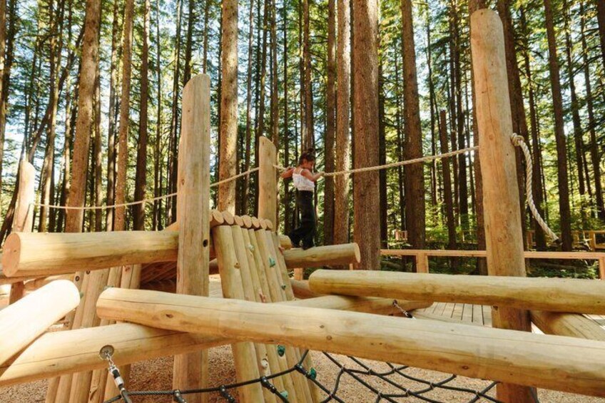 A wooden bridge in a forest with a person crossing it. 2