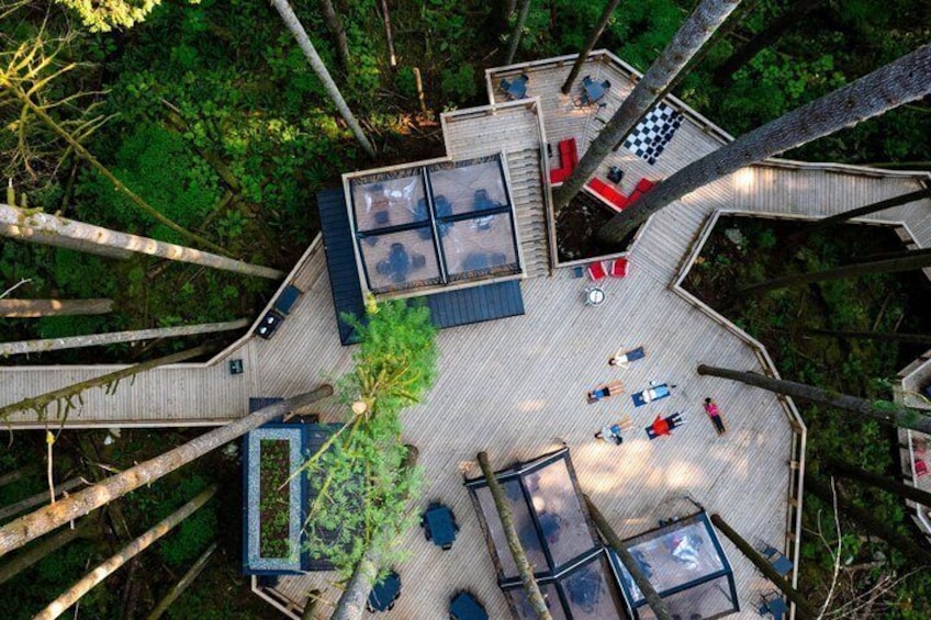 A treehouse with multiple levels, outdoor seating, and a checkered floor pattern. 3