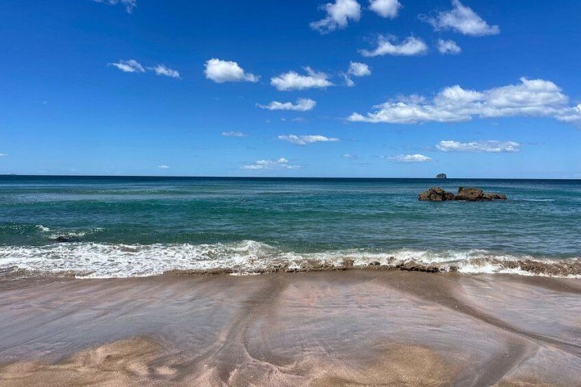 Cathedral Cove & Hot Water Beach with Lunch from Auckland 2