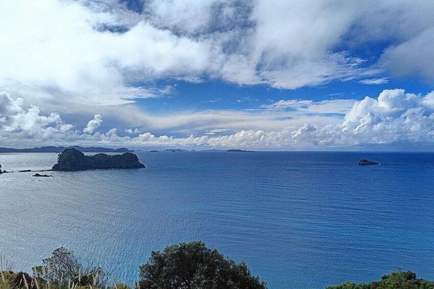 Cathedral Cove & Hot Water Beach with Lunch from Auckland 2