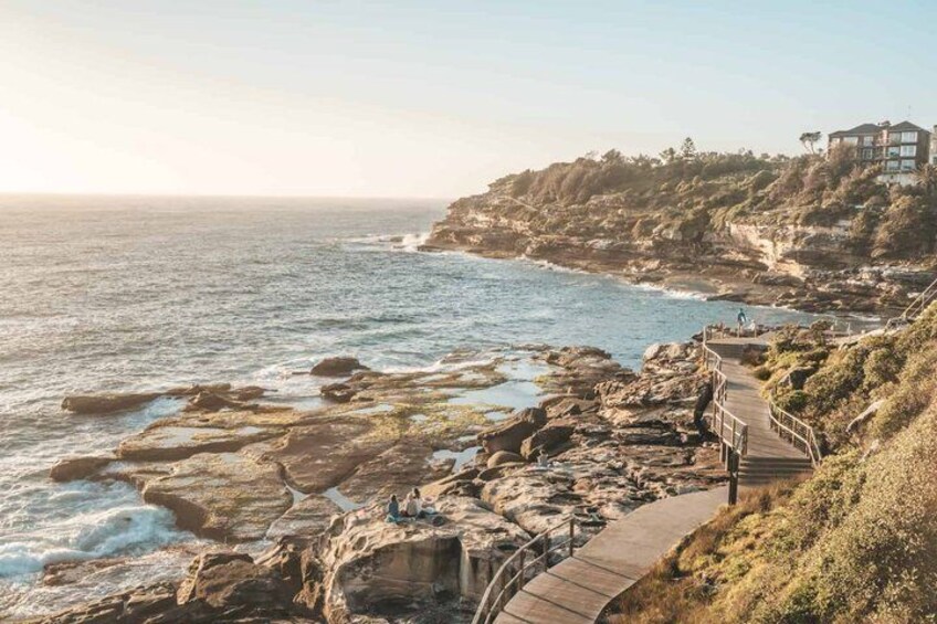 Bondi to Coogee Guided Coastal Walk with Lunch 1