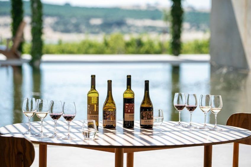 A table with wine bottles and glasses by a body of water. 2