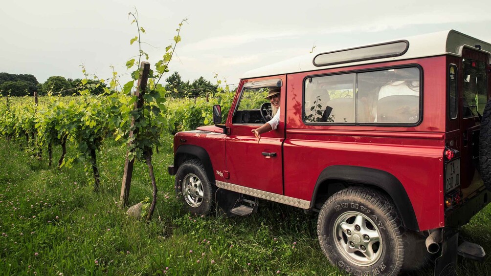 Picture 7 for Activity Lake Garda: Private 4x4 Vineyard Tour with Wine Tasting 2