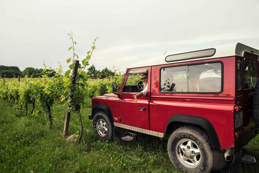 Picture 7 for Activity Lake Garda: Private 4x4 Vineyard Tour with Wine Tasting 2