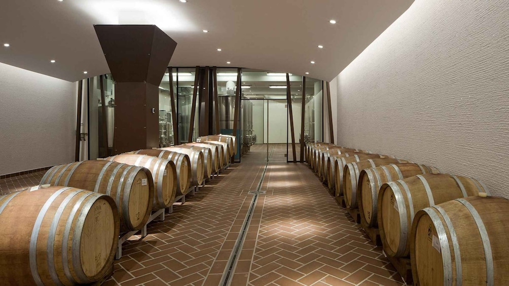 A wine cellar with rows of wooden barrels on a brick floor. 1