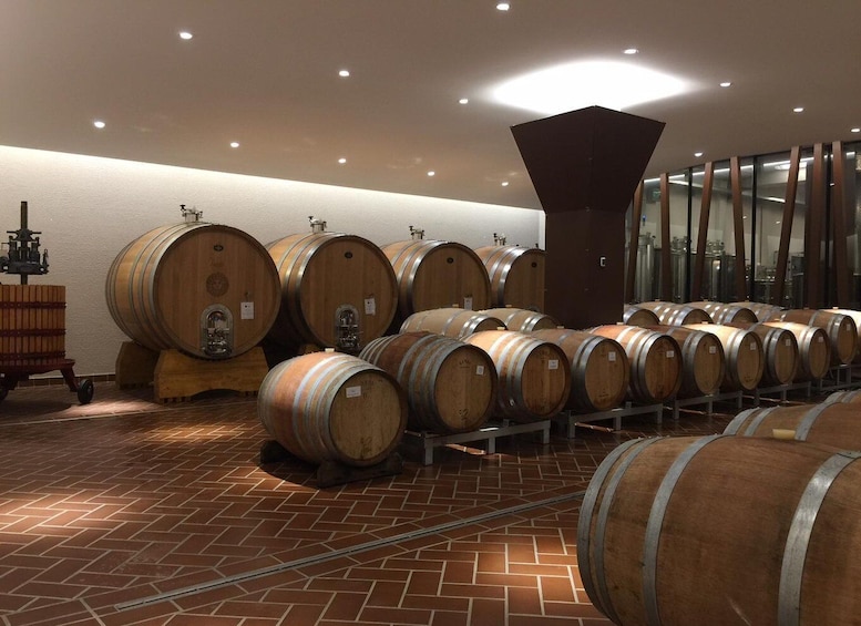 A wine cellar with wooden barrels arranged in rows. 5