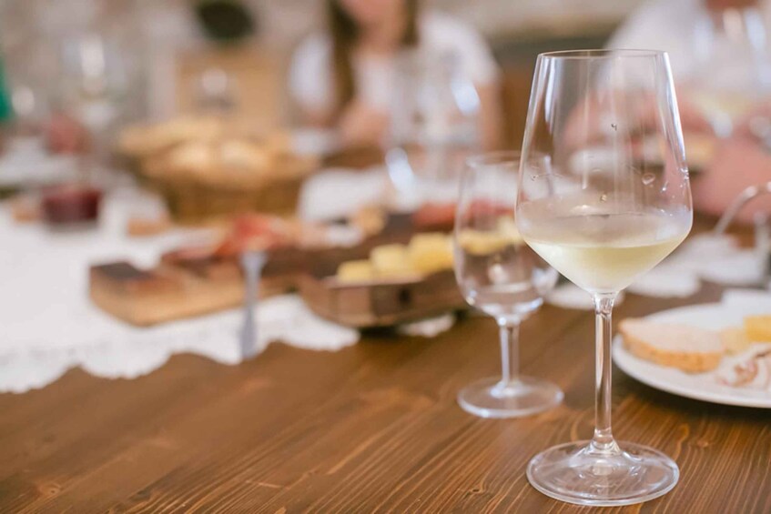 Picture 1 for Activity Mezzocorona: Teroldego Vineyard Tour and Wine Tasting 5