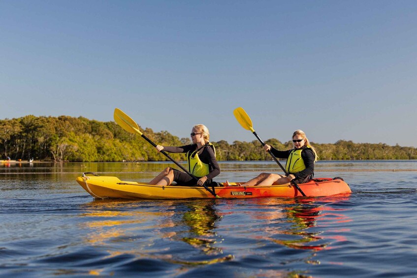 Picture 1 for Activity Noosa: Noosa Everglades and Stingray Sanctuary Kayak Tour 3