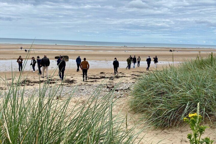 A group of people walking on a sandy beach with tall grass in the foreground. 1