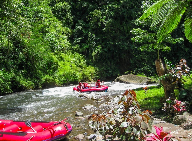 Tegalalang Day Tour: Rice Terraces, Sacred Springs & Jungle Adventures 5