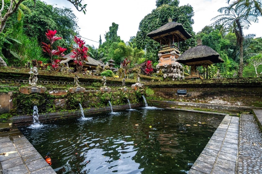 Tegalalang Day Tour: Rice Terraces, Sacred Springs & Jungle Adventures 4