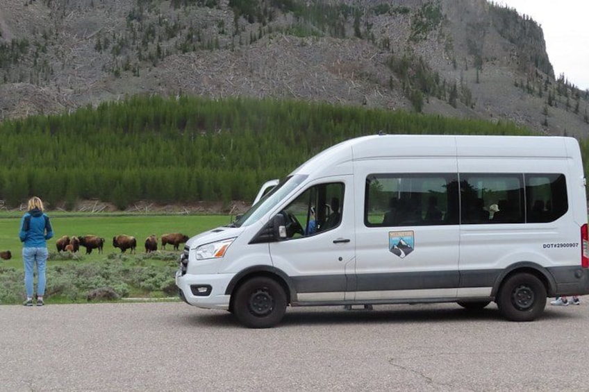 Una camioneta blanca estacionada en una carretera con una mujer de pie cerca, un grupo de bisontes al fondo y un paisaje montañoso. 2