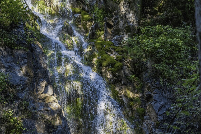 A waterfall cascading over moss-covered rocks in a forested area. 3