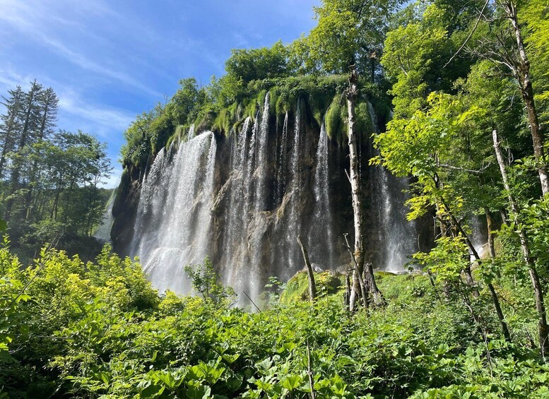 Una cascada se precipita por un acantilado rocoso rodeado de abundante vegetación. 1