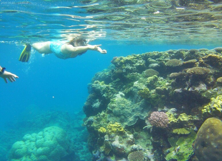 Picture 1 for Activity Vanuatu: Turtle and Snorkeling Tour with Lunch 4