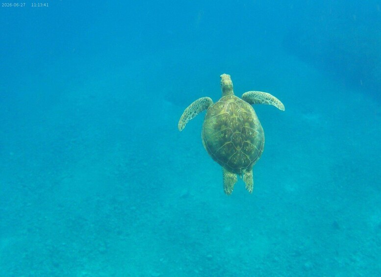 Vanuatu: Turtle and Snorkeling Tour with Lunch 3