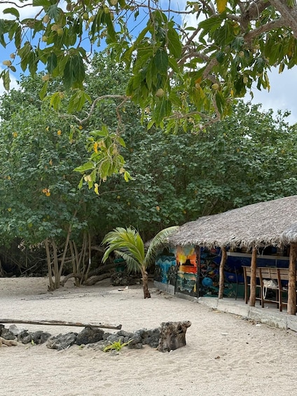 Picture 5 for Activity Vanuatu: Turtle and Snorkeling Tour with Lunch 2