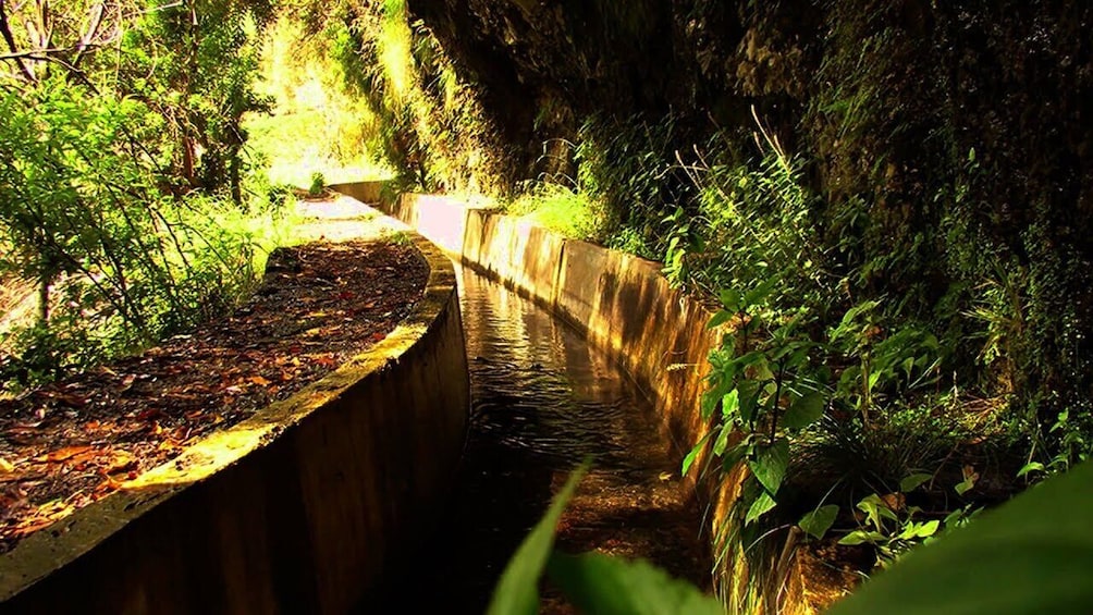 Levada Serra d'Agua Valley 2