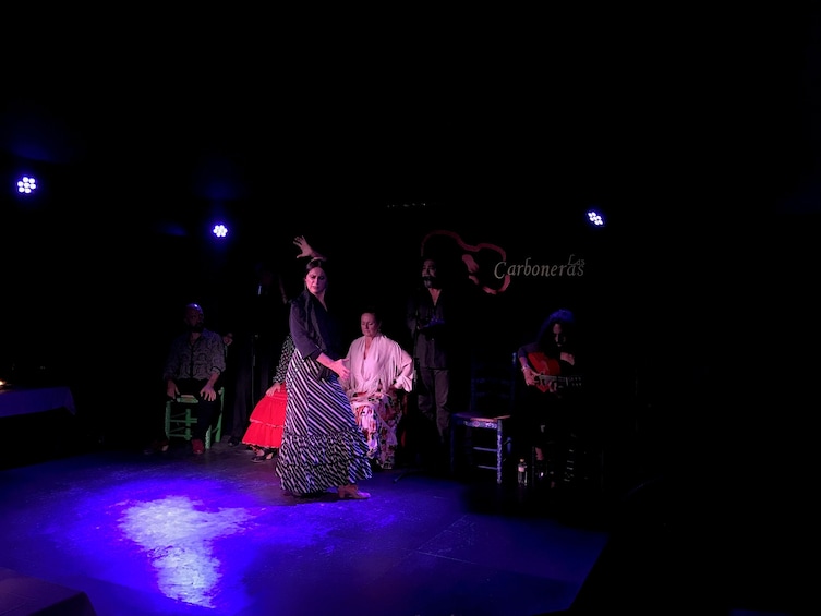 Malaga Gastronomic and Cultural Tour: Tapas, Wine & Flamenco 3