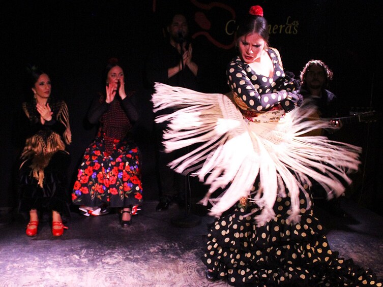 Malaga Gastronomic and Cultural Tour: Tapas, Wine & Flamenco 5