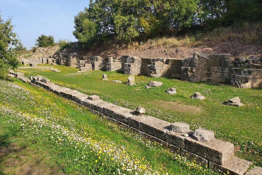 Ancient ruins with stone walls and pathways, surrounded by green grass and wildflowers. 4