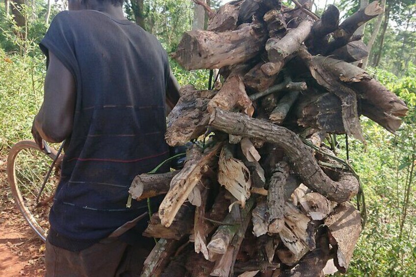A person carrying a large pile of logs. 3