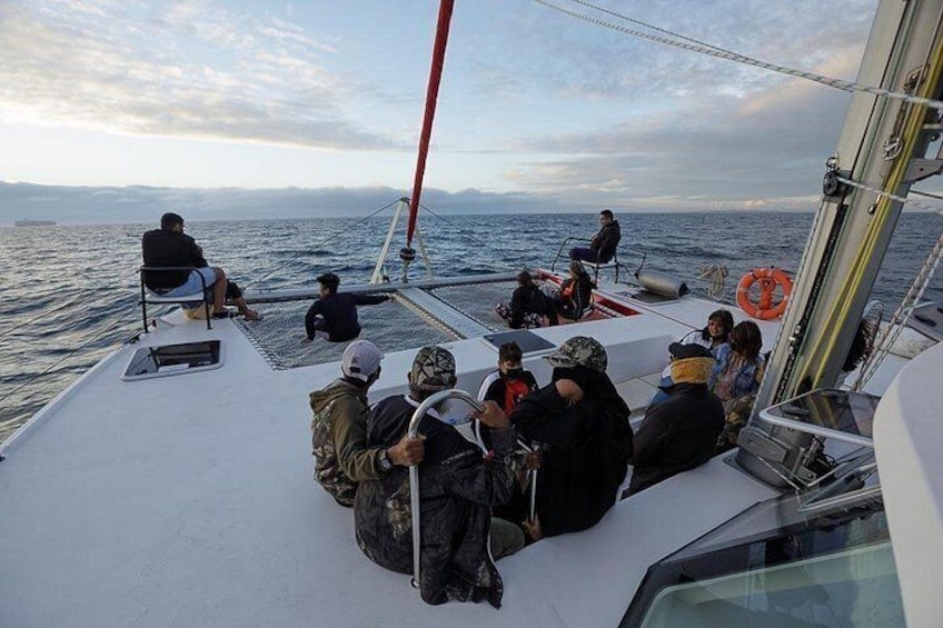 Catamaran Sunset Champagne Cruise Cape Town 5