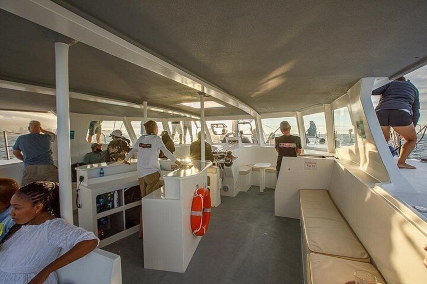 Catamaran Sunset Champagne Cruise Cape Town 4