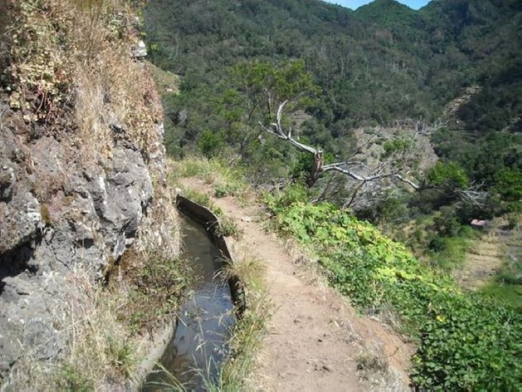 Mimosa Valley Trail: Explore Maroços 5