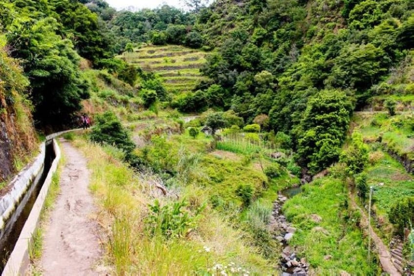Mimosa Valley Trail: Explore Maroços 4