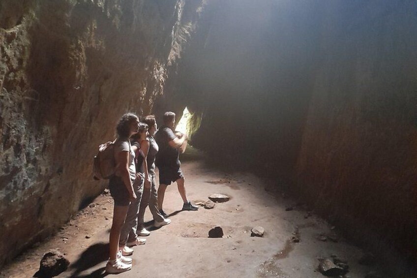 Tijuca National Park and all its wonders 5