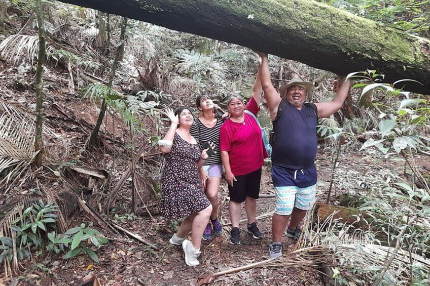 Tijuca National Park and all its wonders 4