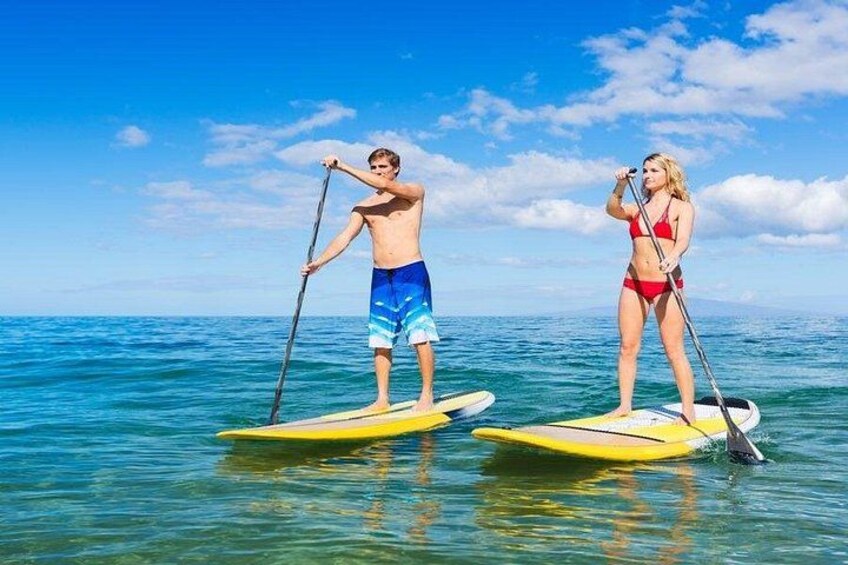 Premium Coral Island Pattaya by Speed boat 1